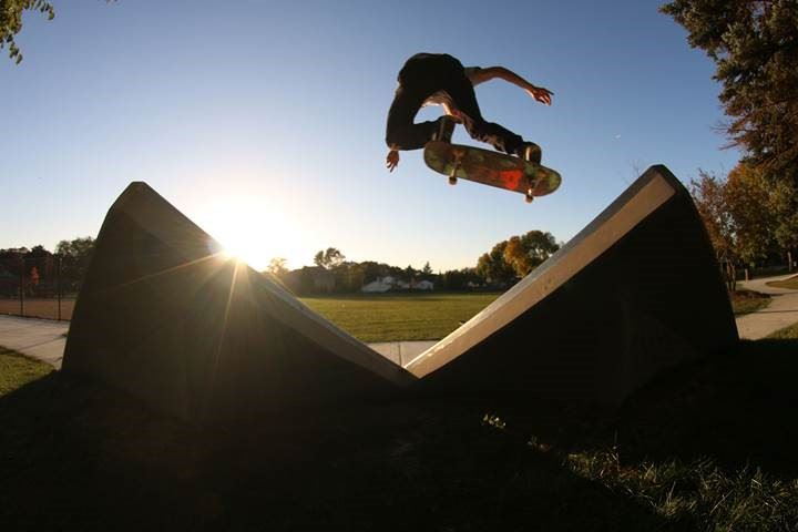 Peacock Skate Pieces 4